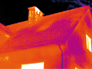 roofwaterleak.jpg